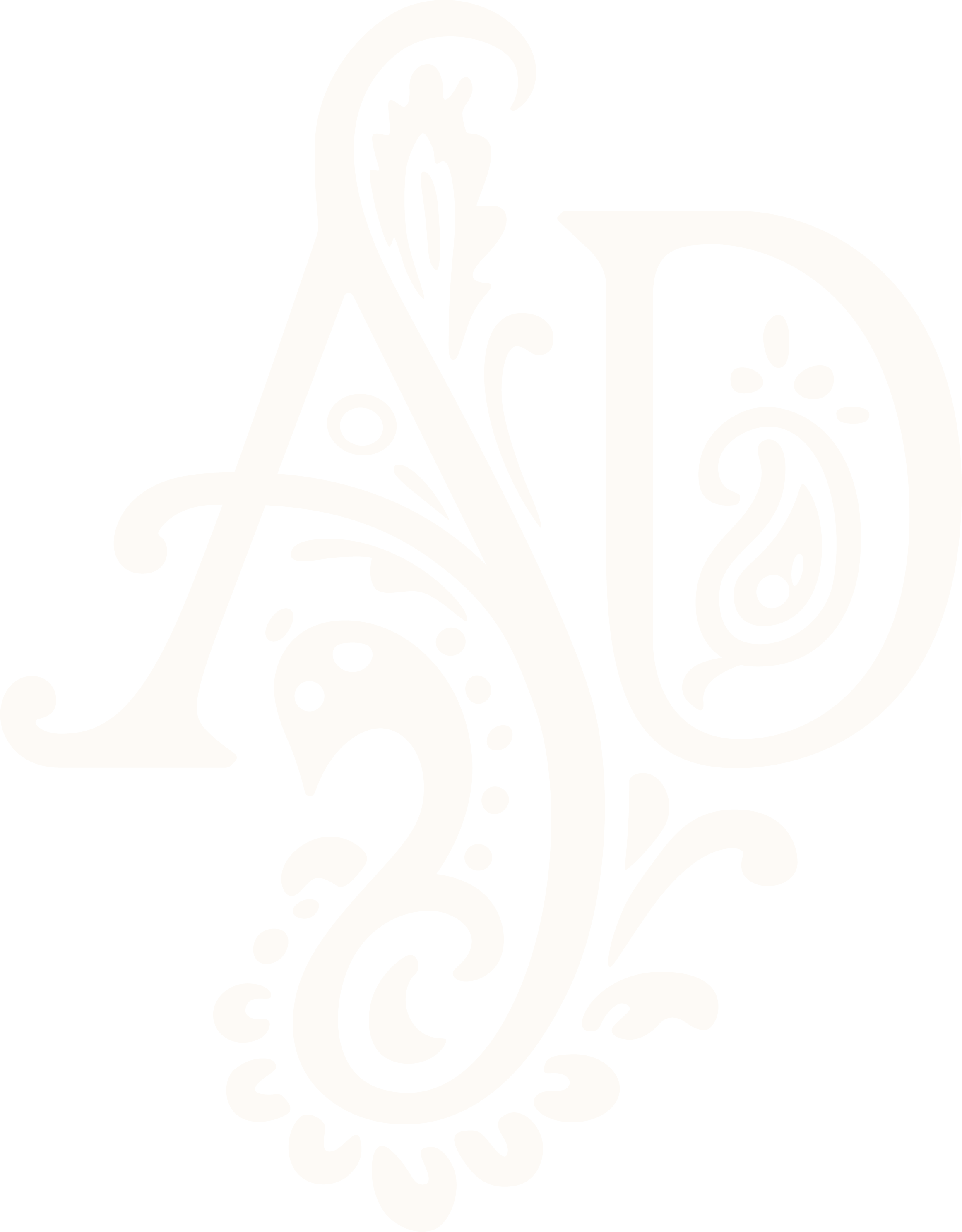 Weaves by Advaya monogram